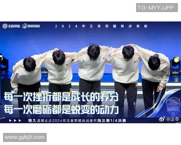 王者荣耀的荣耀之路：探寻JDG战队的成长与蜕变历程